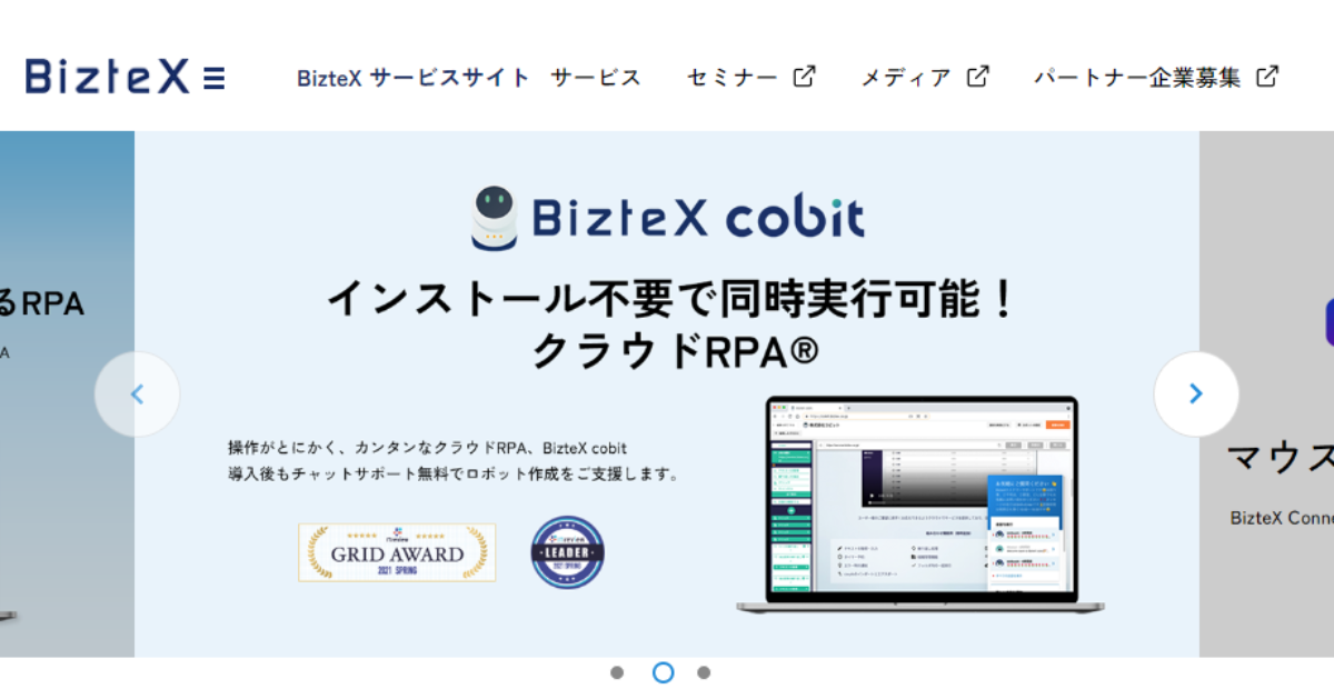 BizteX cobit